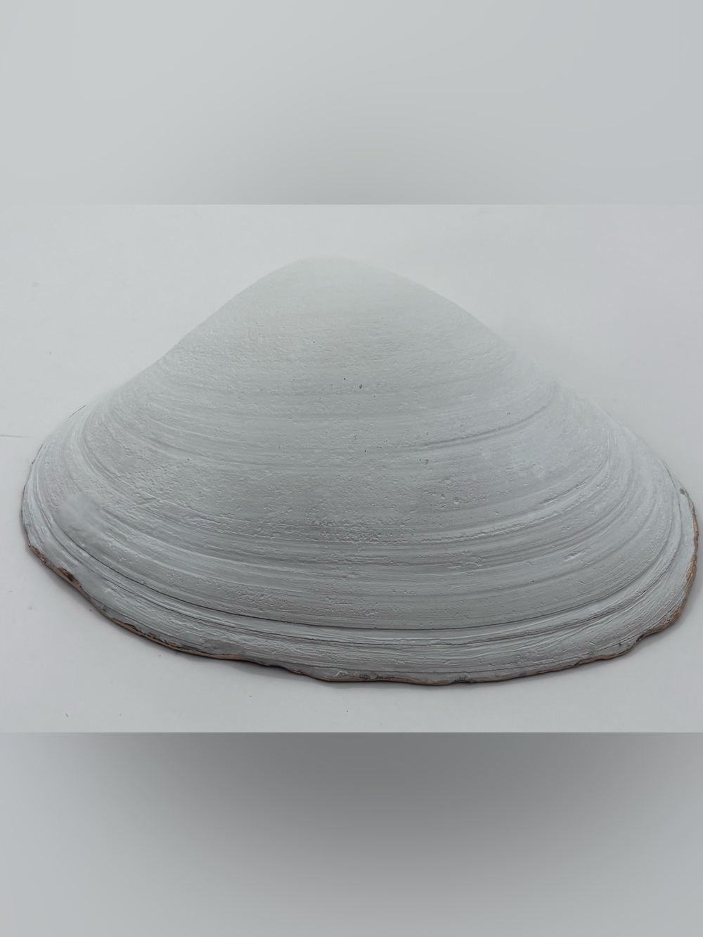 Gold-Accent Gray Decorative Home Accent Shell Trinket Dish - Picture 4 of 4